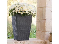 Kép 3/3 - Rattan planter S virágtartó